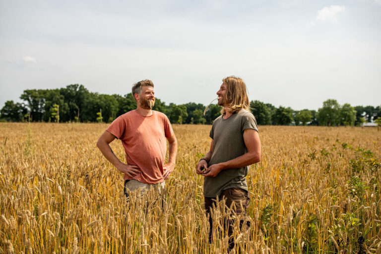 Twee mannen staan in een veld met koren en lachen.